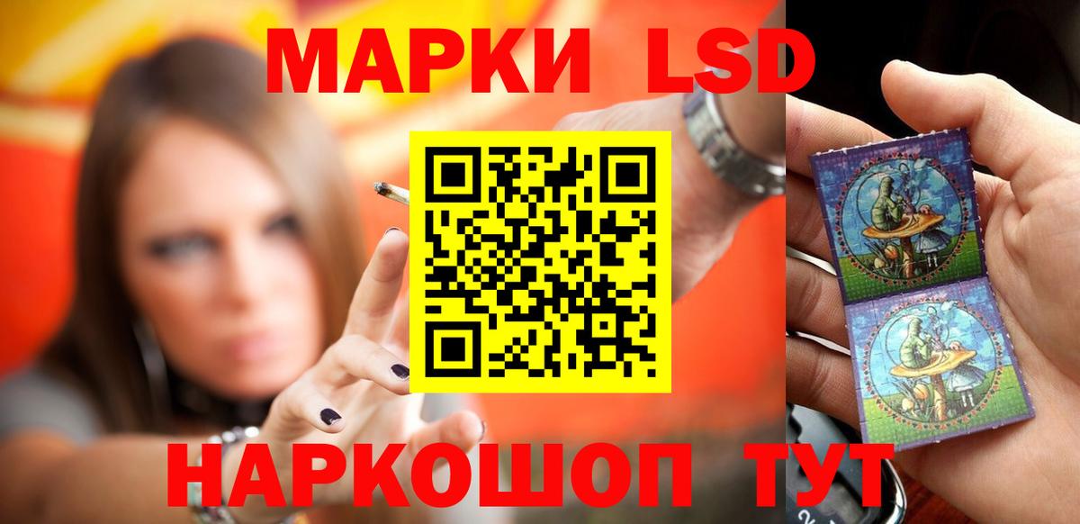Галлюциногенные грибы Калуга