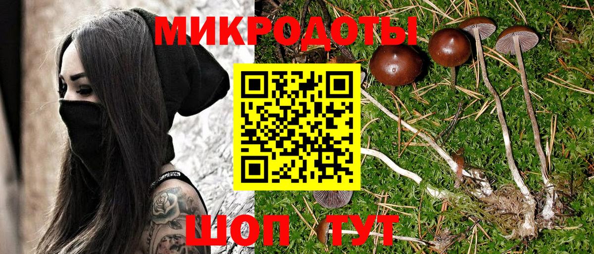 Псилоцибиновые грибы Magic Shrooms Калуга